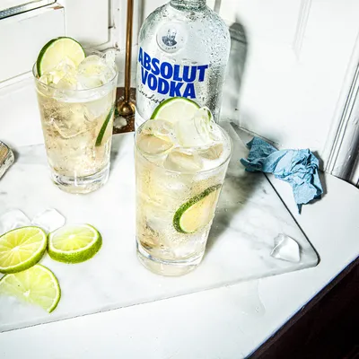 Vodka Ginger Ale Recipe | Absolut Drinks