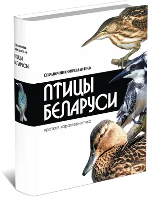 Книга Птицы Беларуси. Справочник-определитель Харвест 30257324 купить в  интернет-магазине Wildberries