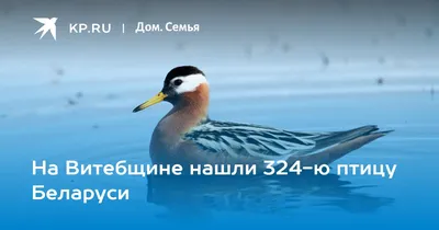 Вместе с орнитологом мы посмотрели, какие птицы прилетели на родину раньше  срока