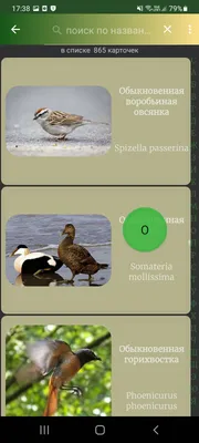 Птицы России – скачать приложение для Android – Каталог RuStore