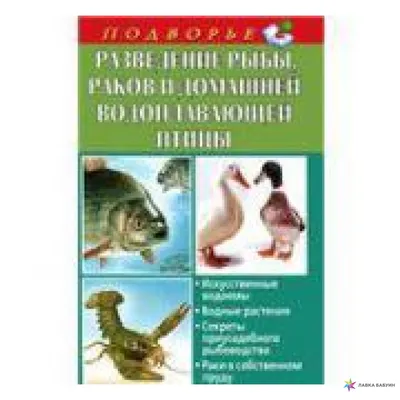 Карточки большие украинские с фактами \"Птицы\". Цена, купить Карточки  большие украинские с фактами \"Птицы\" в Украине - в Киеве, Харькове,  Днепропетровске, Одессе, Запорожье, Львове.