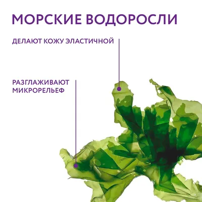 Водоросли бурые Даши Комбу — по цене 249 рублей | Магазин товаров для  азиатской кухни «Акита-маркет»