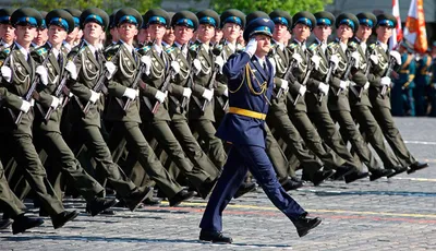 Картинки военных профессий для детского сада