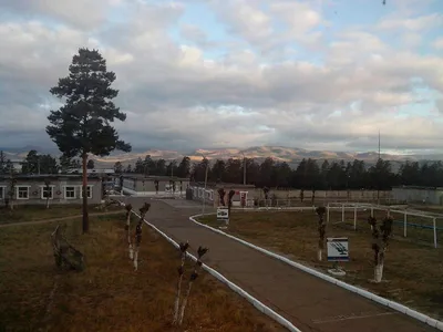 Власти Улан-Удэ решительно взялись за отопление в Сосновом Бору |  09.06.2022 | Новости Улан-Удэ - БезФормата