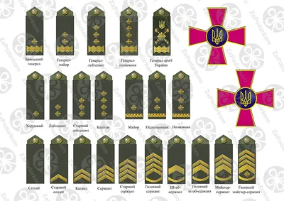 Воинские звания и погоны российской армии. Инфографика | Инфографика |  Вопрос-Ответ | Аргументы и Факты