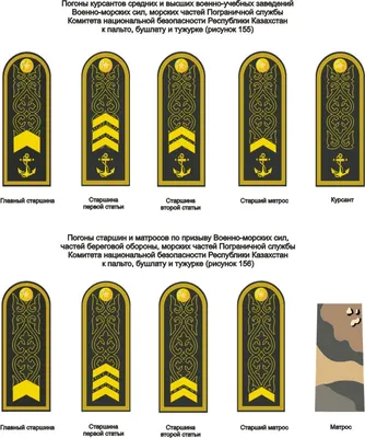 Как читать военные погоны. Определяем звание по звездам и другим знакам  различия