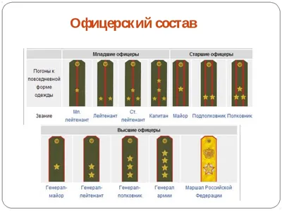 Какие награды вручают солдатам! Медали и ордена для солдат. Особенности  вручения и способы заработать | Сугубо личное мнение | Дзен