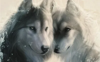 Pin by Нина Соколова on Винтаж | Wolf dog, Wolf spirit animal, Wolf love