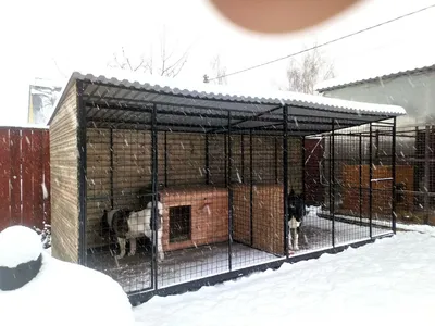 Клетка для лабрадора в квартиру. Как выбрать домашний вольер