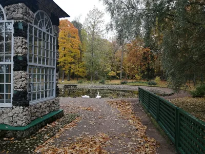 Экспозиция тетеревиных птиц в зоопарке Берна