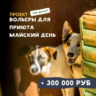 Уличные вольеры для собак купить в Москве | VillarDogs.ru