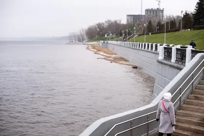 В Самарской области вода в Волге прогрелась до рекордных значений |  ОБЩЕСТВО | АиФ Самара