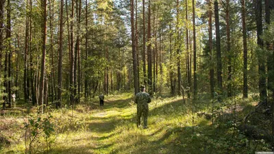 Знак значок Космос Волгоград скульптор Ковальчук Спутник Ракета Космос.  Купить в Верхнедвинске — Космические корабли Ay.by. Лот 5035802612