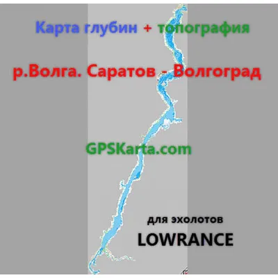 Карта базаров: где купить елку в Волгограде | 06.12.2022 | Волгоград -  БезФормата