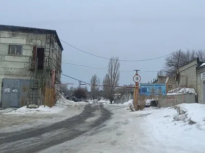 Активисты пригласили спикера Госдумы в Волгоград для решения проблемы с  троллейбусами - KP.RU