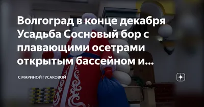 УСАДЬБА СОСНОВЫЙ БОР-БАЗА ОТДЫХА КОМПЛЕКС Бревенчатые Дома Бассейн Бани -  КАНАЛ \"ОТДЫХ в ВОЛГОГРАДЕ\" - YouTube