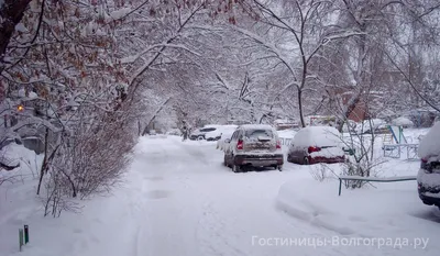 Синоптики рассказали, какой будет зима в Волгограде - 7 декабря 2023 - v1.ru