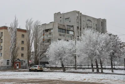 В Волгоград вернулись крепкие морозы