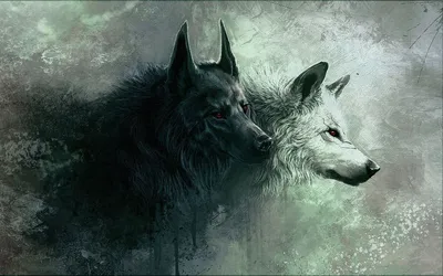 Пользовательский черно-белый рисунок волка🐺✏️🖼️. Получить  ваш!......................................