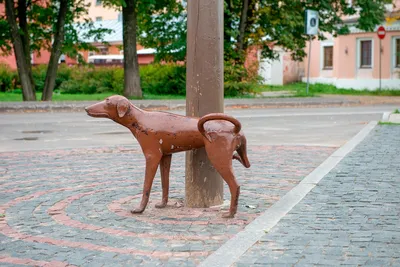 Вологда. Прогулка по городу. Архитектура. Достопримечательности.