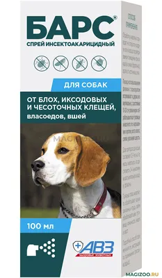 Лишай у собак 🐶 – виды, симптомы и признаки заражения питомца