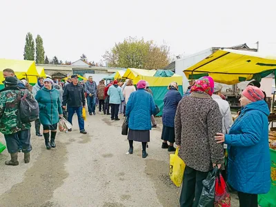 26 марта наши спортсмены приняли участие в открытом первенстве МАУ ДО ДЮСШ  с. Волово Липецкой области по плаванию. — Муниципальное бюджетное  учреждение «Спортивная школа» города Ливны