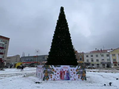 Отдел ЗАГС администрации городского округа город Волжск Республики Марий  Эл, ЗАГС, ул. Ленина, 50, Волжск — Яндекс Карты