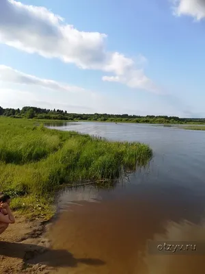 Дом отдыха «Волжский прибой» Кострома | Костромская область |  Красносельский район - официальные цены на 2024 год