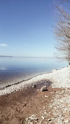 Воскресенский мужской монастырь, Тольятти: лучшие советы перед посещением -  Tripadvisor