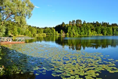 Volga-Kama Nature Reserve - Wikipedia