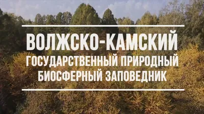 Волжско-Камский заповедник | Экооборона Московской области