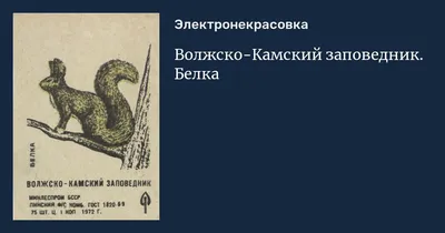 Дендрарий, Волжско-Камский государственный природный биосферный заповедник,  Дендрарий, Вехова, 1 к1, пос. Садовый — 2ГИС