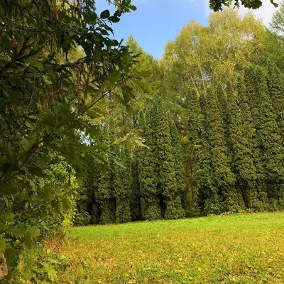 Волжско-Камский заповедник » Отдых на природе. Места, статьи, события.