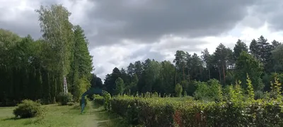 Экскурсия в ДЕНДРАРИЙ 🌳 Волжско-Камский Государственный Природный  Биосферный Заповедник - YouTube