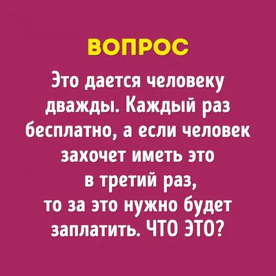 15 вопросов, на которые не смогли ответить знатоки «Что? Где? Когда?». А вы  сможете? / AdMe