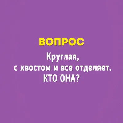 15 вопросов, на которые не смогли ответить знатоки «Что? Где? Когда?». А вы  сможете? / AdMe