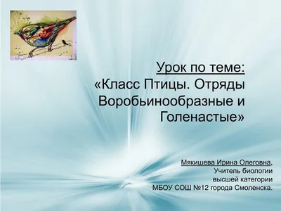 Птицы Петербурга. Все 166 видов, которые мне попадались. Часть 2 -  Воробьинообразные | Птицы в большом городе | Дзен