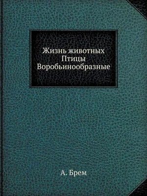 Обыкновенный жулан Плотоядная птица из отряда воробьинообразных семейства  сорокопутовых. :: Восковых Анна Васильевна – Социальная сеть ФотоКто