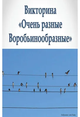 Министерство природных ресурсов Курской области