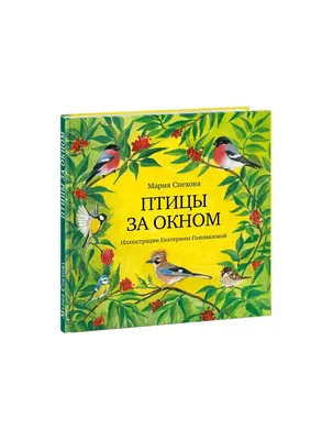 Птицы. Детская энциклопедия – купить по лучшей цене на сайте издательства  Росмэн