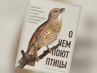 В Фельдман Экопарк студенты-орнитологи четвертый год реализуют проект  «Сохраним птиц вместе» - FELDMAN-ECOPARK