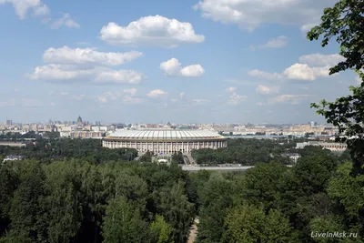 Файл:Воробьёвы горы, Москва (1).jpg — Википедия