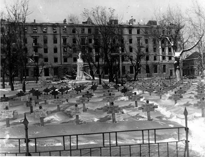 80 лет со дня освобождения города Воронежа : Воронежское региональное  отделение