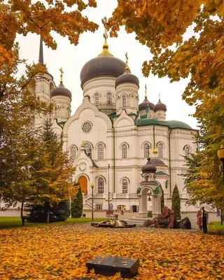 Красивая осень в Воронеже 🧡 | Мой и твой Воронеж | ВКонтакте