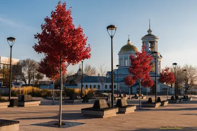 Воронеж, осень , красиво, реалистично…» — создано в Шедевруме