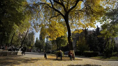 10 лучших фотографий воронежцев из социальных сетей за неделю – Новости  Воронежа и Воронежской области – Вести Воронеж