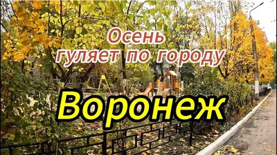 осень — Север мой