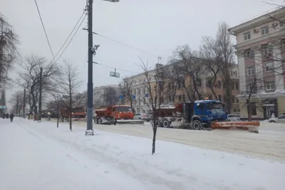 В Воронеже в День зимних видов спорта запретят парковку у площади Ленина