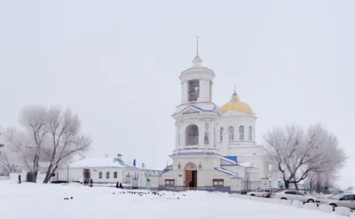 Курс на зиму: что делать в Воронеже