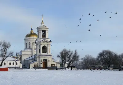 В воронежском парке «Дельфин» появились огромные светящиеся шары – Новости  Воронежа и Воронежской области – Вести Воронеж